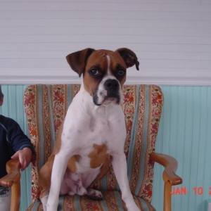 Silas and his chair
