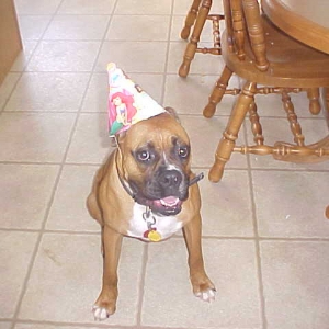 Toni in her birthday hat