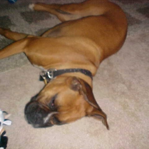 Toni sacked out after the party