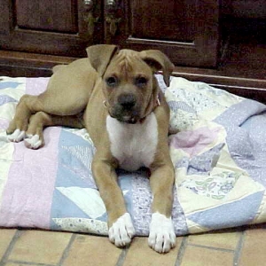 Jess says - I'm 12 weeks now