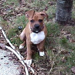 Look at my goofy ears