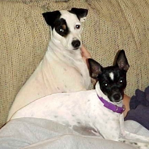 Jess's Big Brother and Sister - Cowboy and Taz