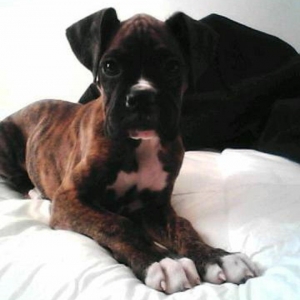 Maya- so pretty!