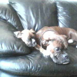 Maya and Dexter