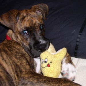 Oliver and his banana