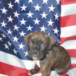 5 weeks old