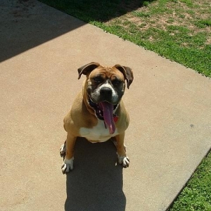 Pumba