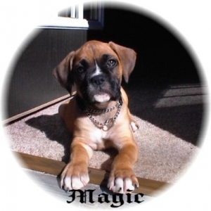 Magic at 8 weeks