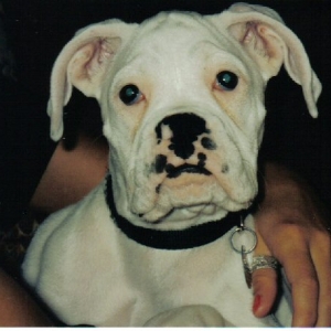 What a face!