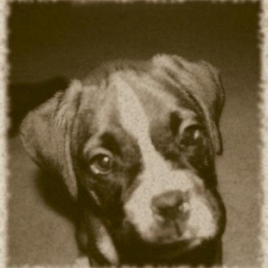 Capone @ 8wks