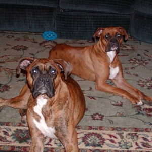 Jake & Hope