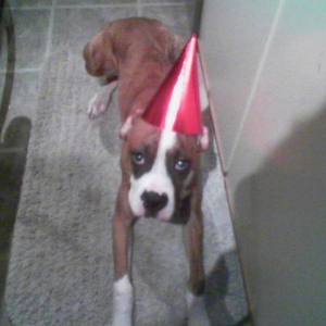 Picture010