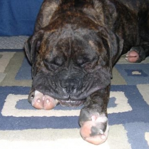 Do you think my lip is big???
