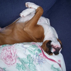 Sleep