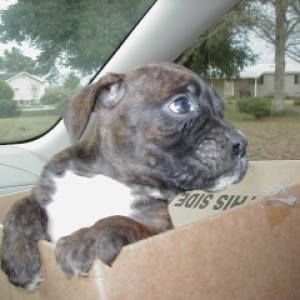 The long ride home.