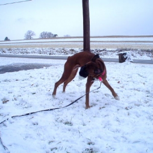 snow!