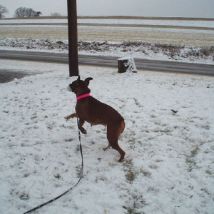 snow