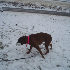 more snow
