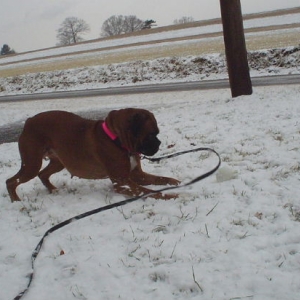 more snow again