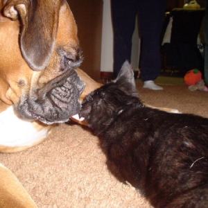 giving Lazzara kisses