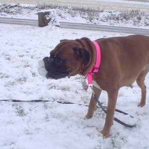 snow again