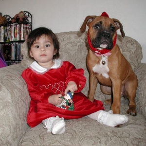 xmas_002_halfsize