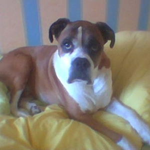 Jake_in_littleroom