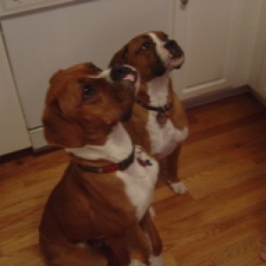 Skippy & Lilly