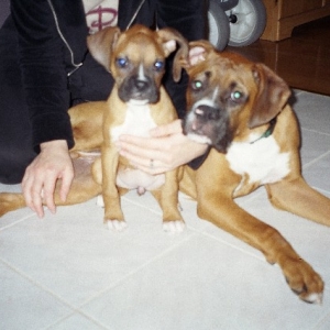 Mini Me