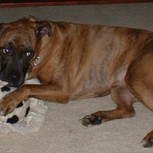 Gretal and her toy