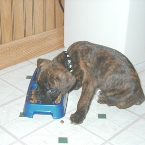 Feeding Time.