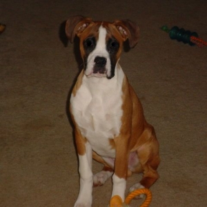 Sitting pretty