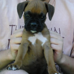 Wendel 7 weeks