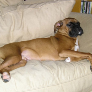Wendel'sNew Bed