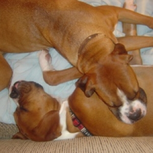 Skippy & Lilly