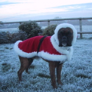 Christmas Bart