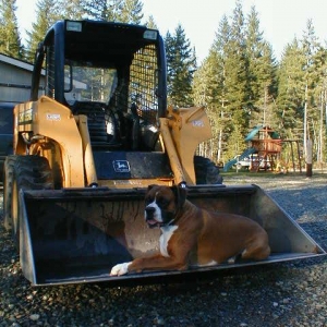 Tonka