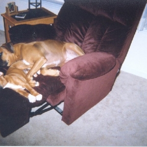 Maggie and Harley