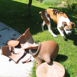 oops ... sorry!
