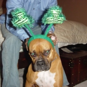 Kenzie on ST. Pats Day