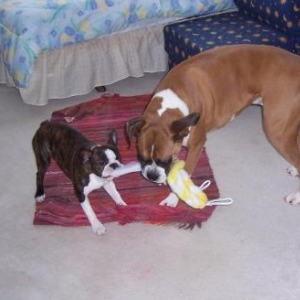 Tug of War