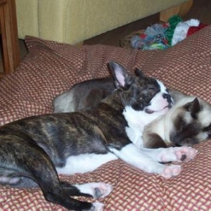 Best Friends