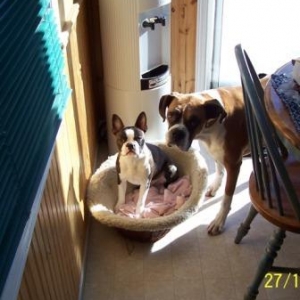 Jack & Indy