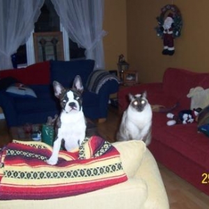 Indy & Luigi