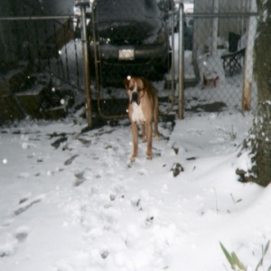 Ma, it's cold! Can I go inside?