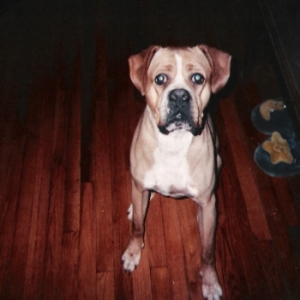 What you got? Is it for me?