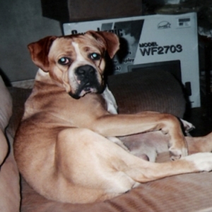 since you woke me, can I help you?