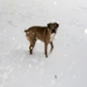 This white stuff makes my feet cold!