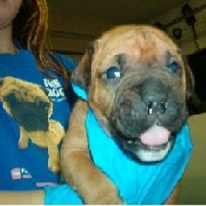 Max at 4 wks