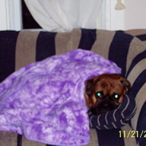 My new blanket